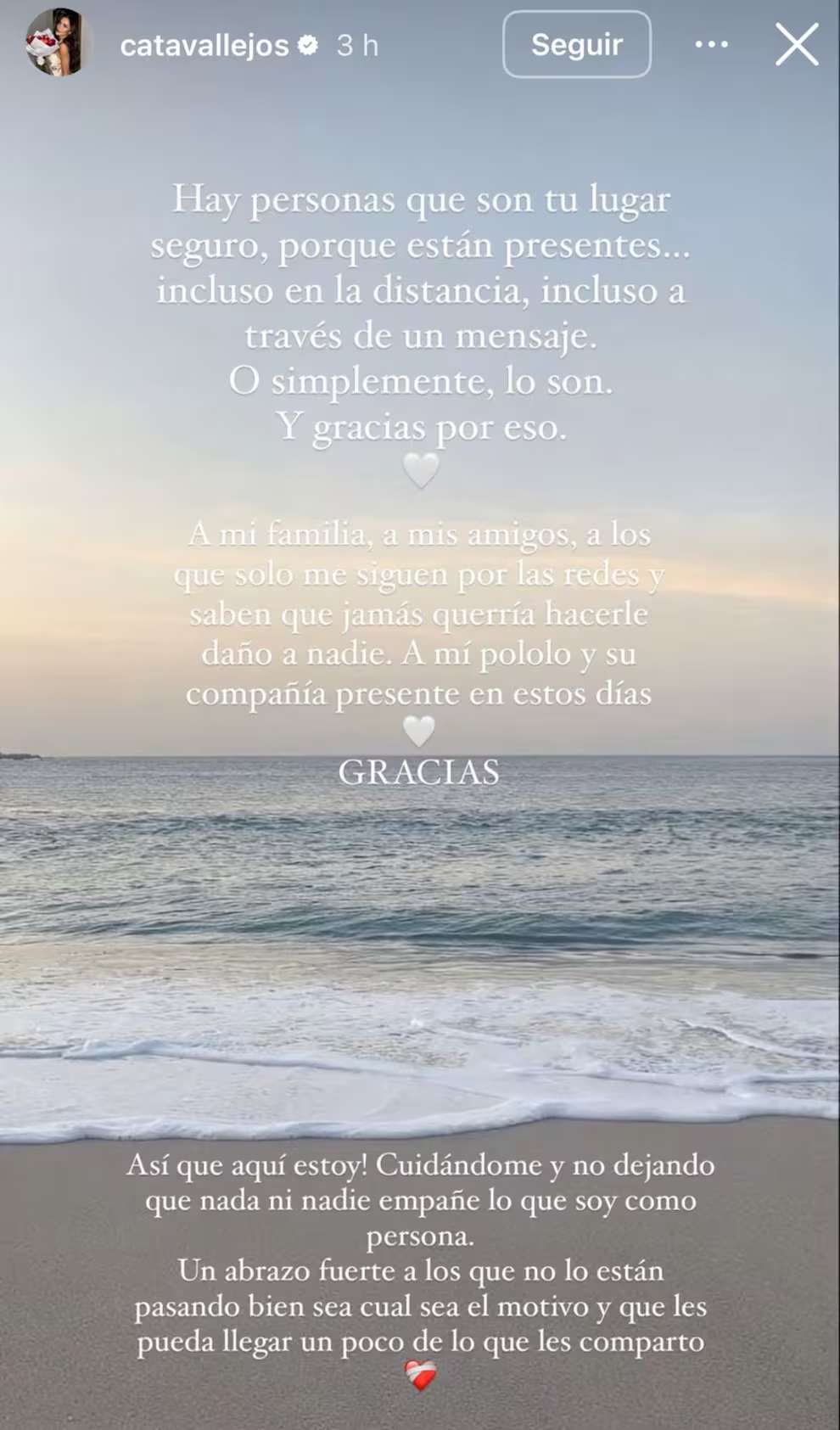 Historia de Cata Vallejos - Captura de pantalla