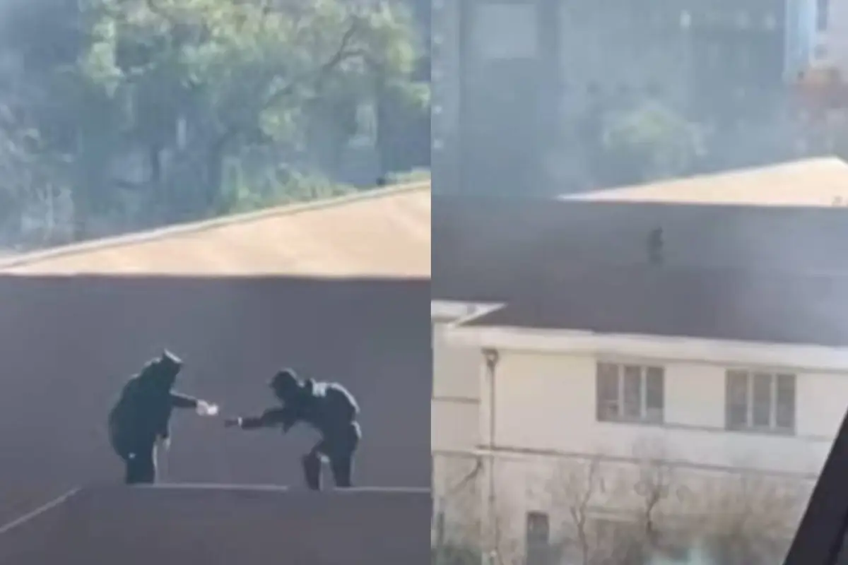 Incidentes en el Liceo Lastarria , Captura | Mucho Gusto