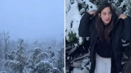 Melina Noto Nieve,    