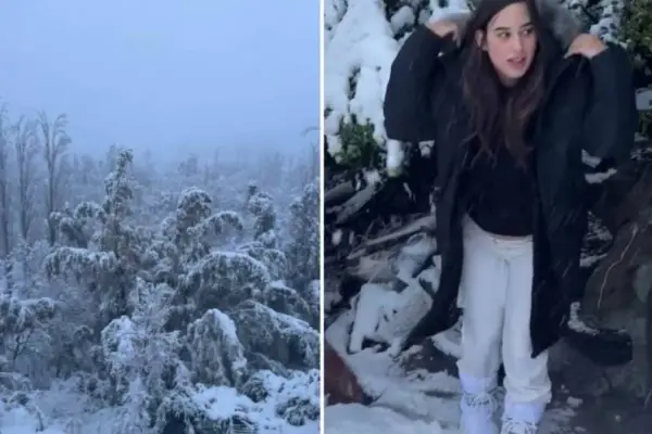 Melina Noto Nieve ,   