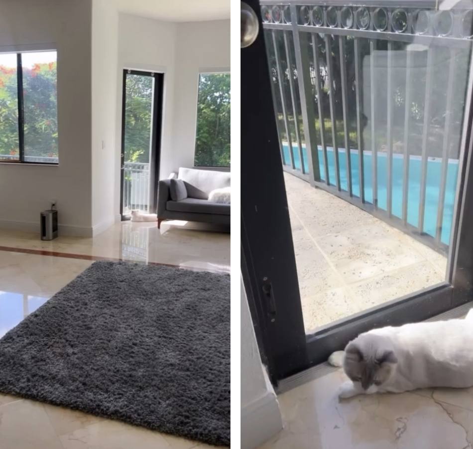 Esto fue lo último que subió Maura Rivera a sus redes - Instagram