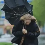 Se pronostica un viento importante, Archivo