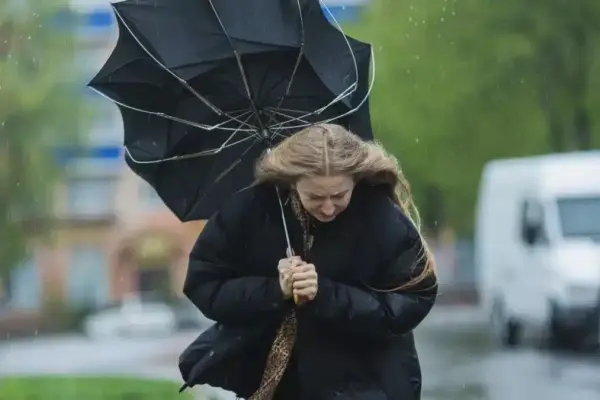 Se pronostica un viento importante ,Archivo