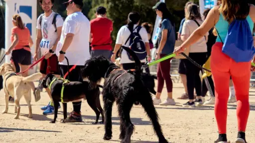 Corrida familiar y perruna en La Florida, Cedida
