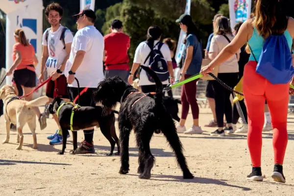 Corrida familiar y \