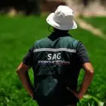     , Servicio agricola ganadero (SAG)