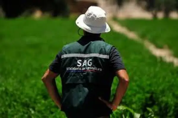      ,Servicio agricola ganadero (SAG)