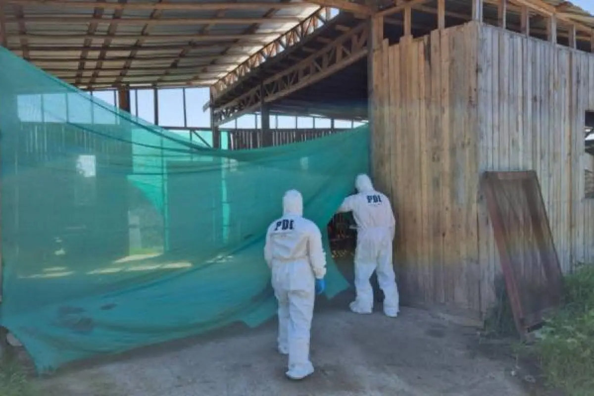     , Policía de Investigaciones - PDI