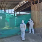     , Policía de Investigaciones - PDI