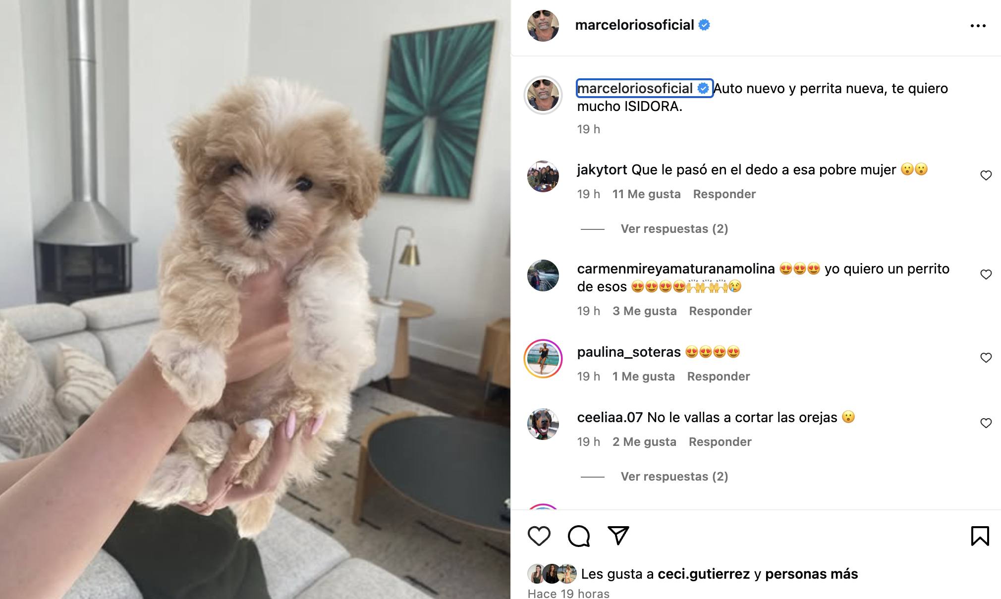 Esta es la perrita que Marcelo Ríos le dio a su hija - Instagram
