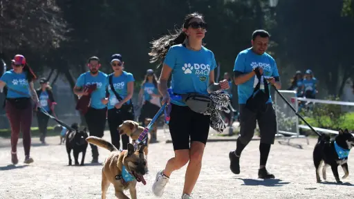 Mascotas y familia al aire libre, Cedida