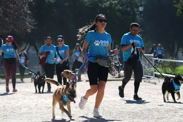 Mascotas y familia al aire libre ,Cedida