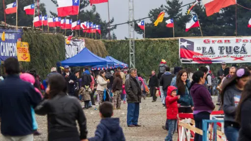 ¿Lloverá durante las Fiestas Patrias?, Redes sociales | Referencial