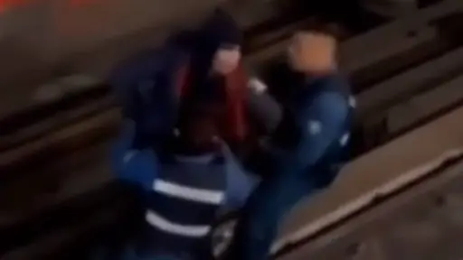 Delincuente en Metro, Redes Sociales