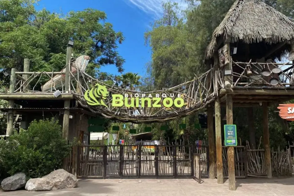 Buinzoo