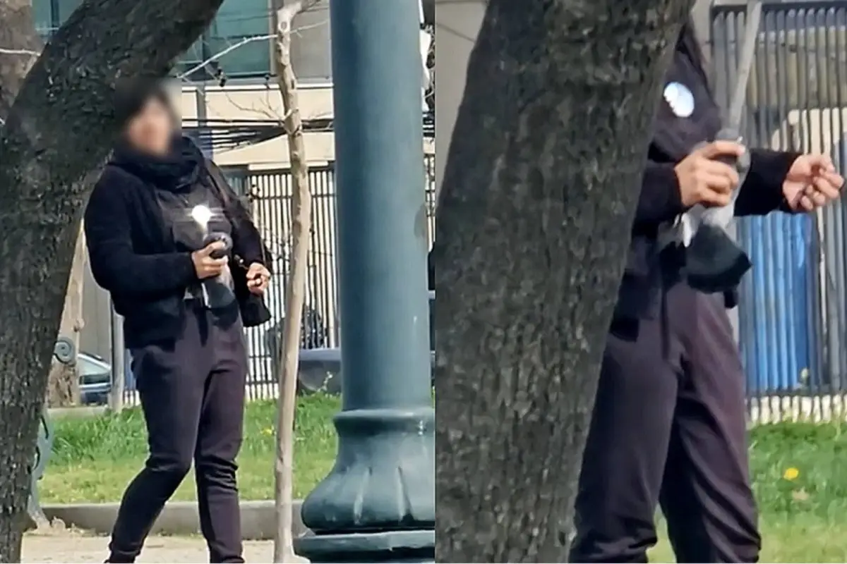 palomas, redes sociales