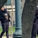 palomas, redes sociales