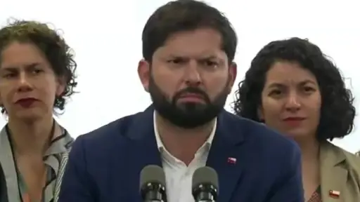 Gabriel Boric, Redes Sociales