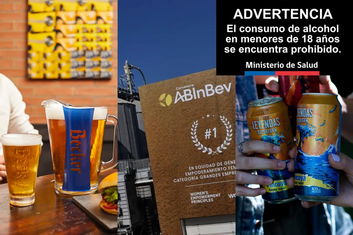 Cerveza chilena, Cedida