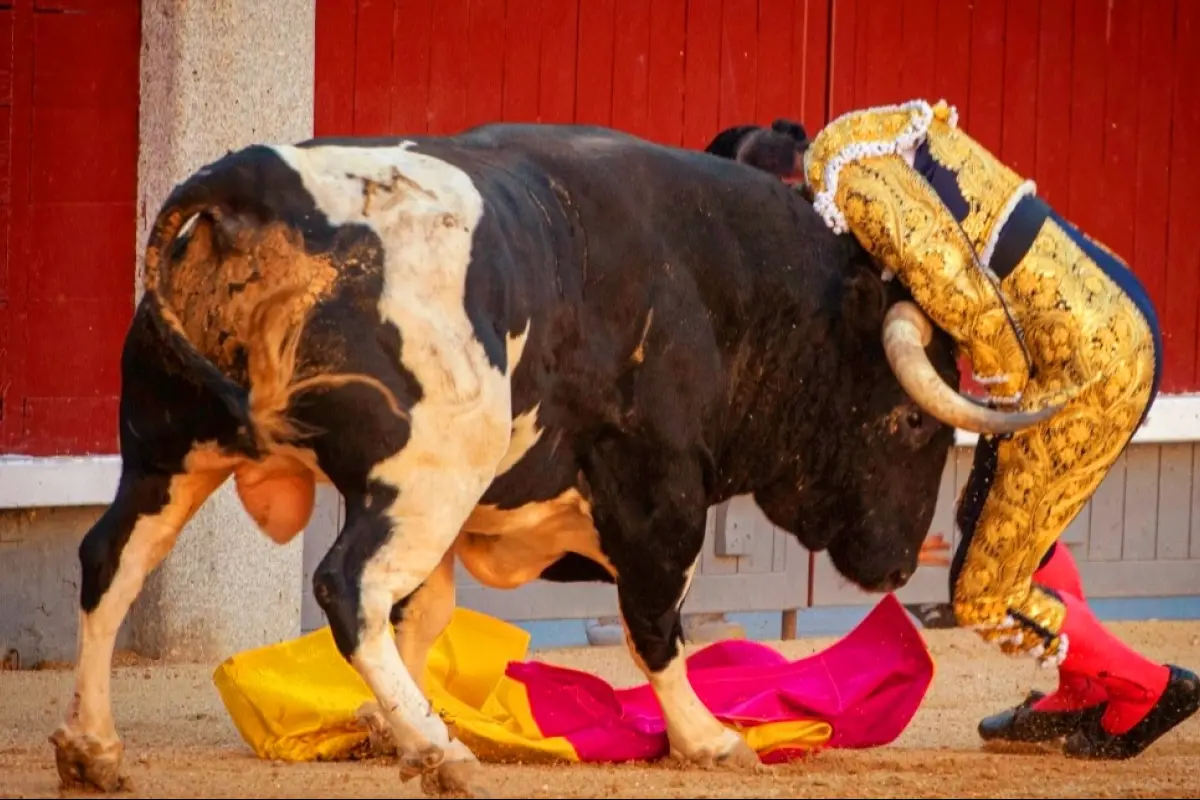 Serafín Marín y el toro, Arévalo