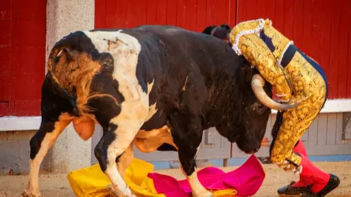Serafín Marín y el toro, Arévalo