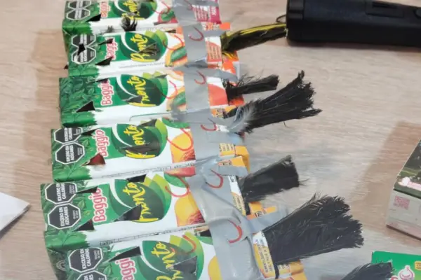 17 de las aves encontradas estaban muertas ,Instagram