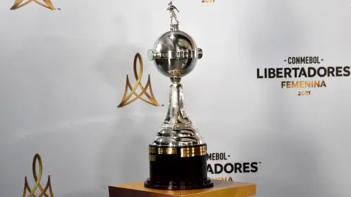 Copa Libertadores Femenina, Redes sociales