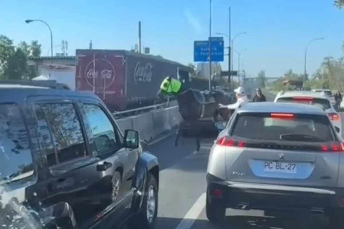 Caballo del Club Hípico se paseó por autopista, Captura