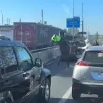 Caballo del Club Hípico se paseó por autopista, Captura