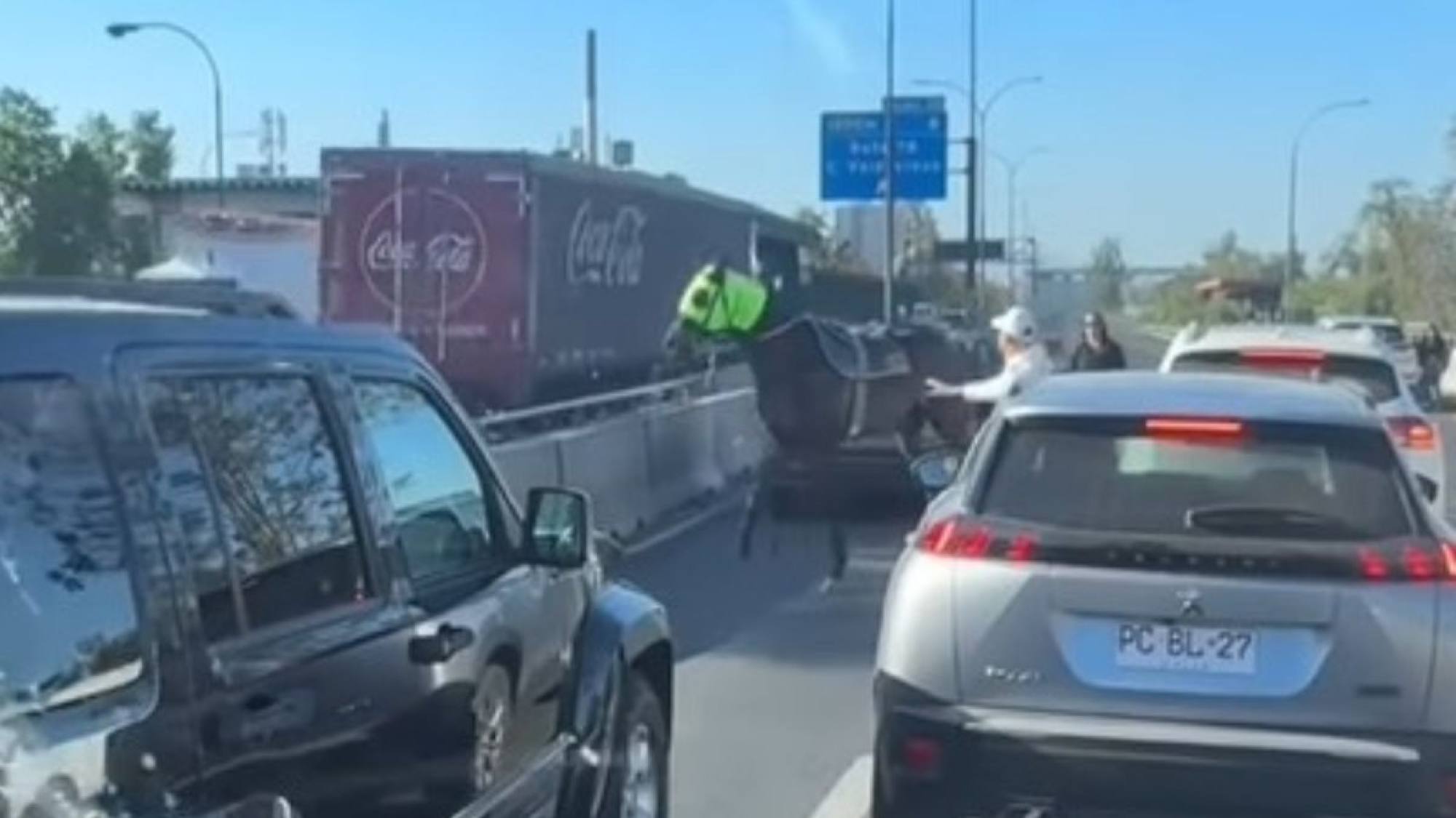 “Solo quiere ser libre”: caballo escapó del Club Hípico y llegó hasta la Autopista Central