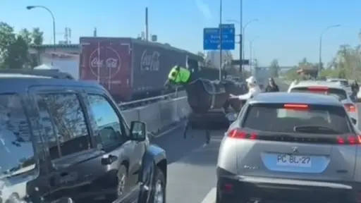 Caballo del Club Hípico se paseó por autopista, Captura