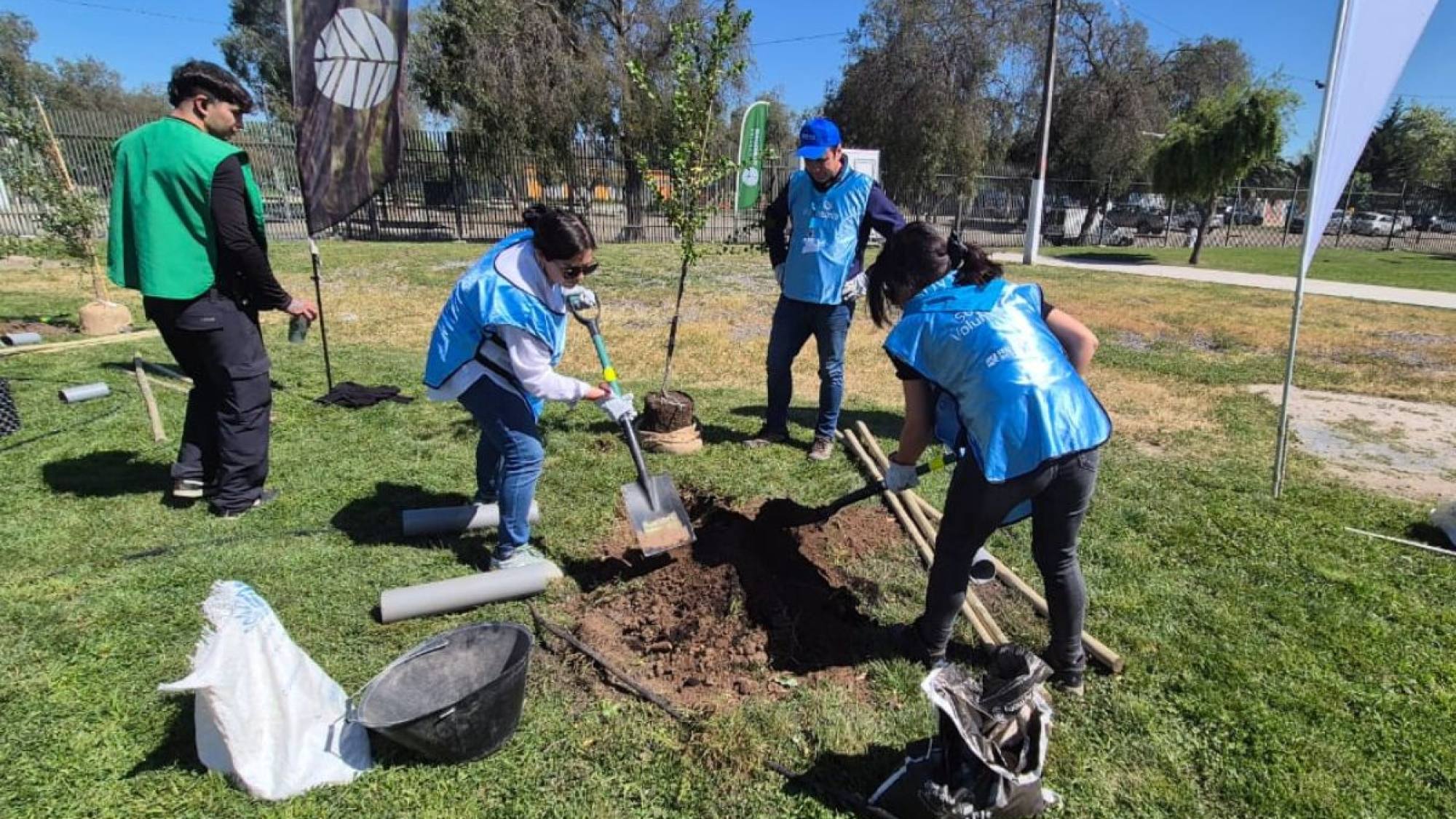 Reforestan con especies nativas el Parque Eduardo Frei de Lo Prado