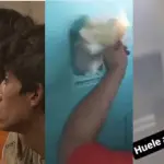 Esteban Hermosilla, redes sociales