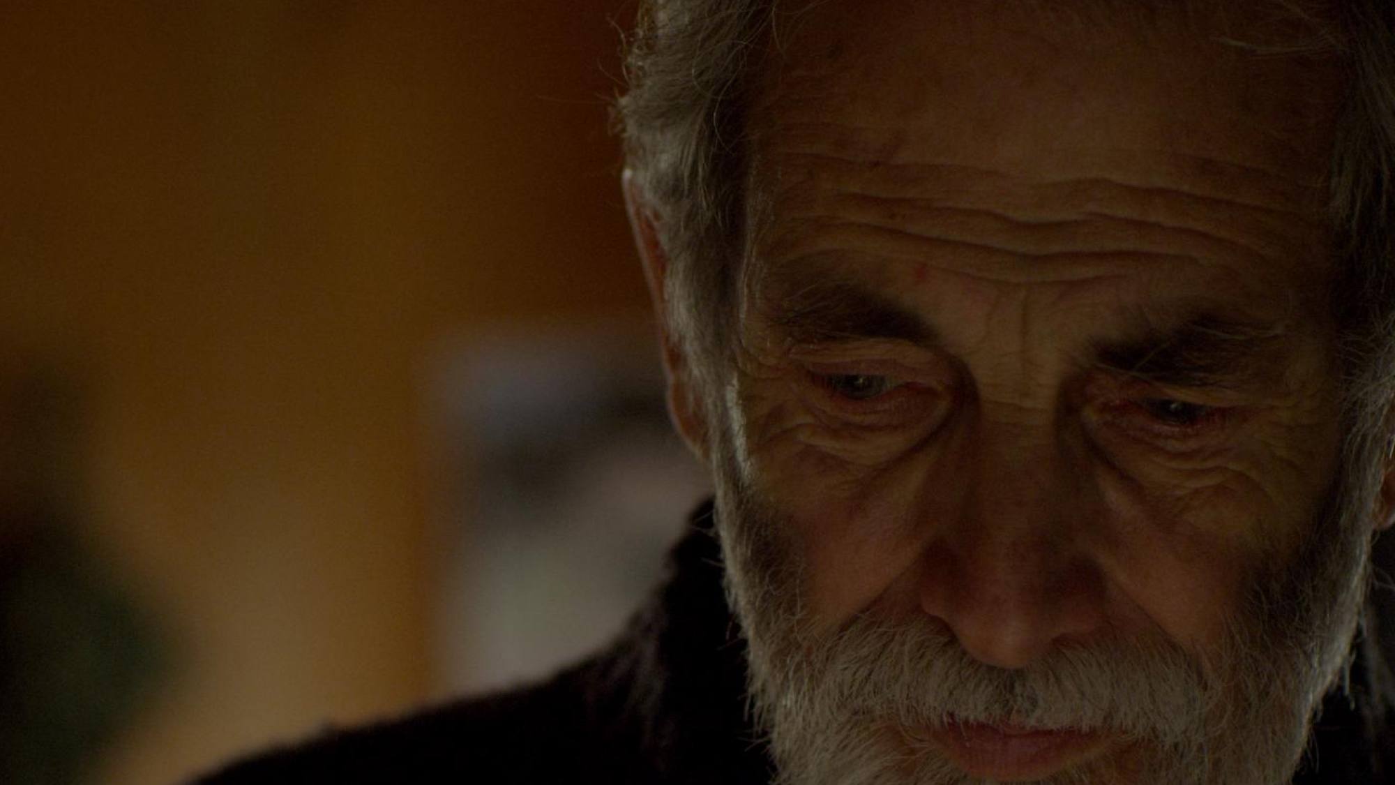 TVN cambia su programación por homenaje a Tito Noguera