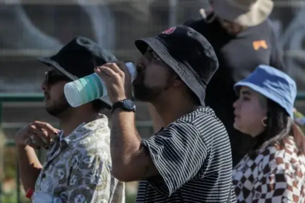 ¿Cuál es el mejor horario para ir a votar? ,Redes sociales | Referencial