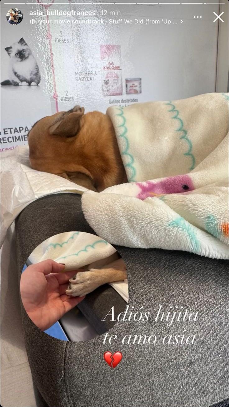 Adriana Barrientos despidió a su perrija. - Instagram