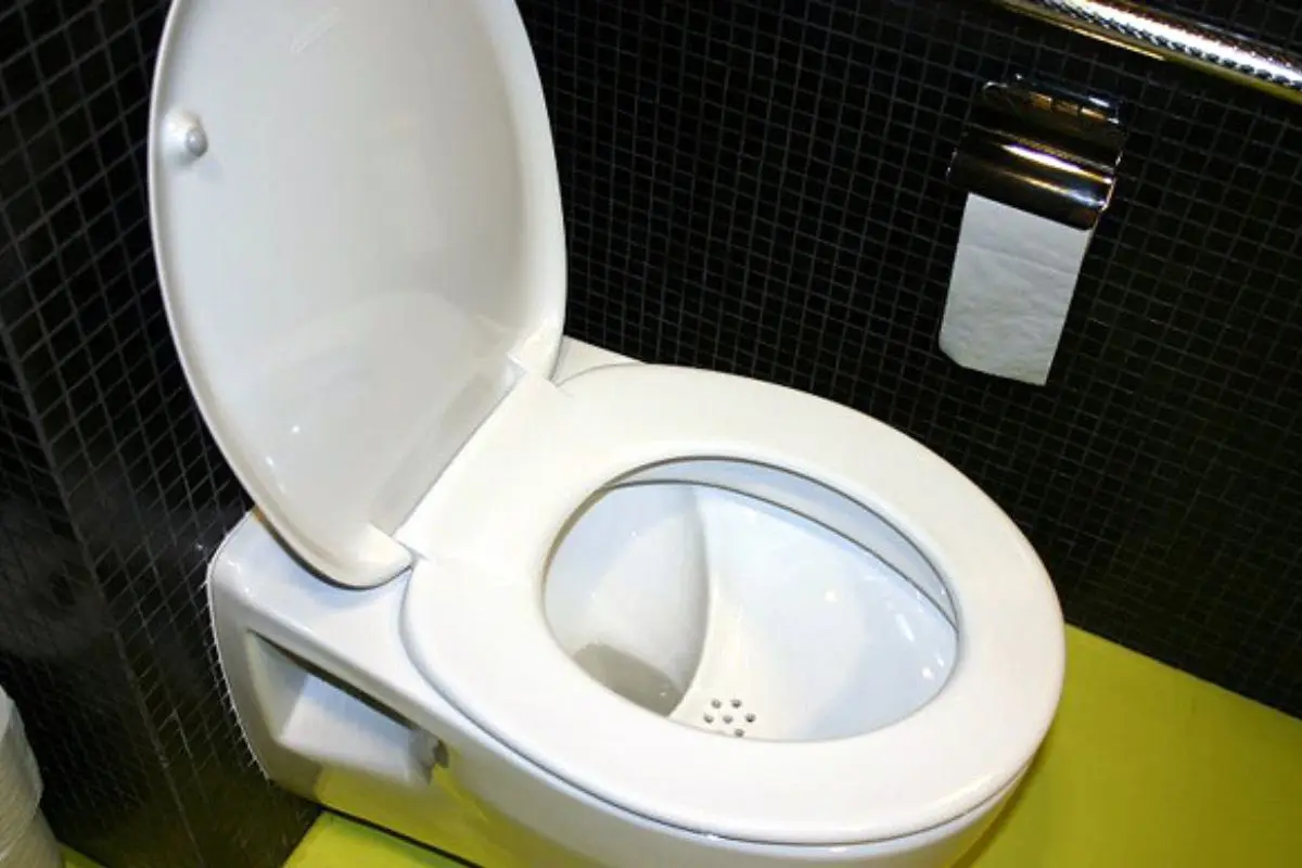 Este miércoles es el Día Internacional del WC, Cedida