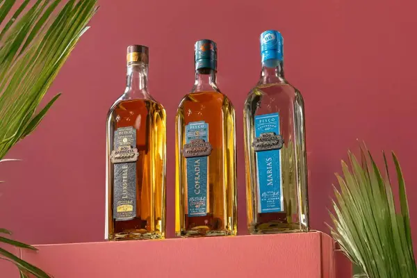 Bou Barroeta ,Cedida