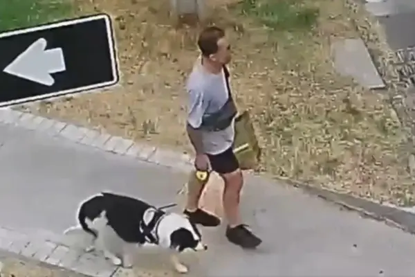 Jorge Ugalde paseando a un perro en La Reina ,Captura