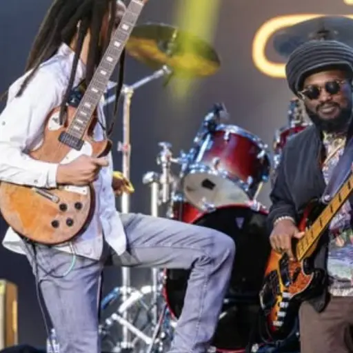 Surfestival ,Instagram