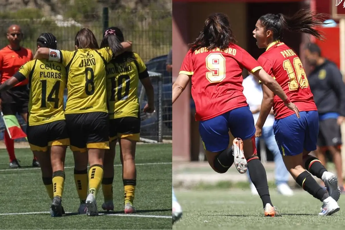 Semifinalistas de la Liga Femenina, Redes sociales