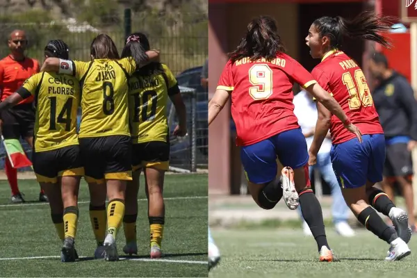 Semifinalistas de la Liga Femenina ,Redes sociales