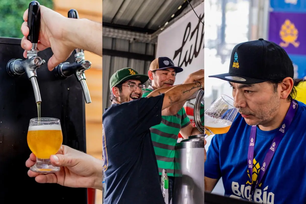 Cervezas del mundo llegan al Biobío Beer Festival para competir en la BioBio Beer Cup, Cedida