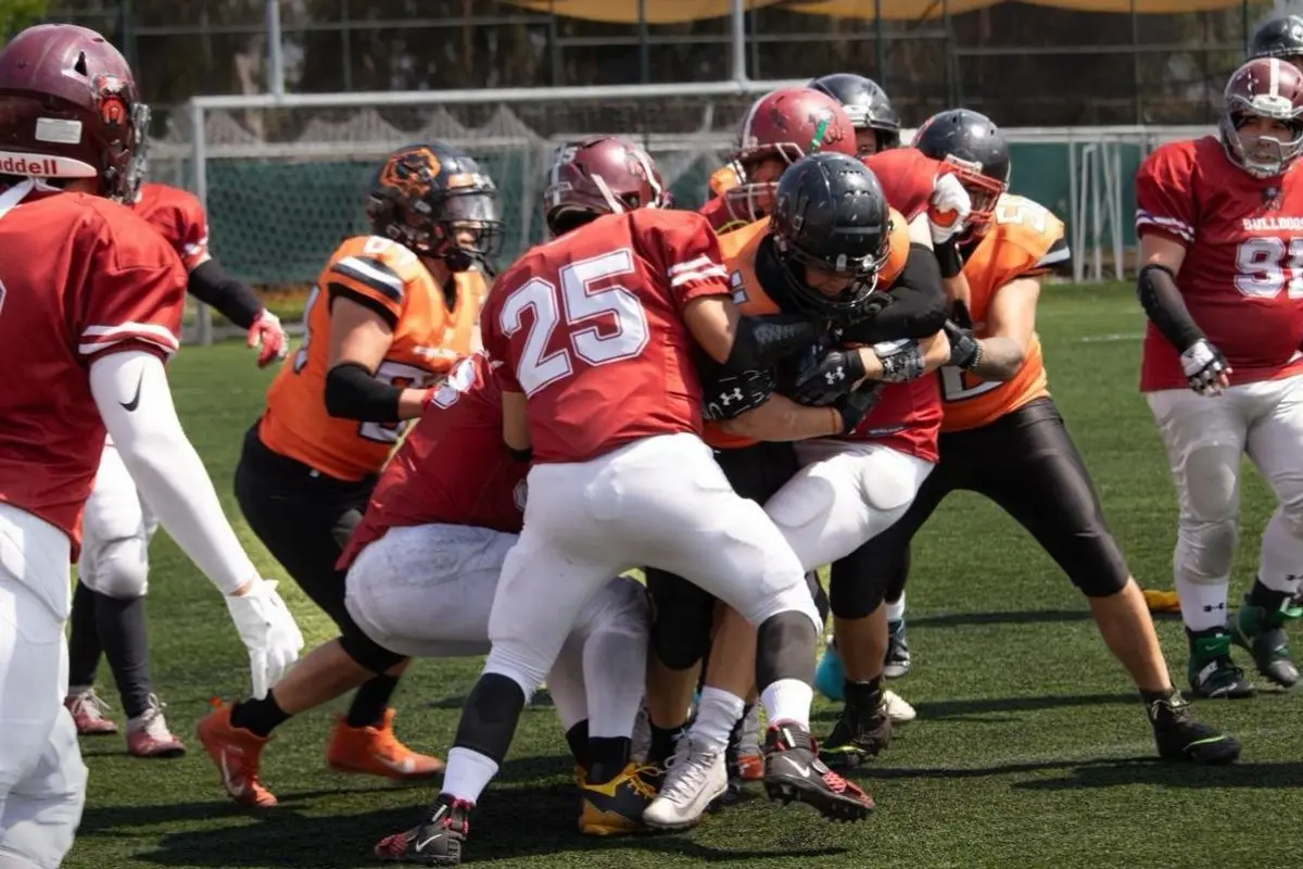 Felinos y Blindados jugarán la final del Súper Bowl chileno, Cedida