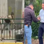 Daniel Reyes fue atacado mientras era entrevistado, Captura