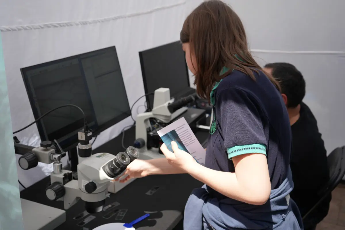 Festival de Ciencia, Usach , Cedida