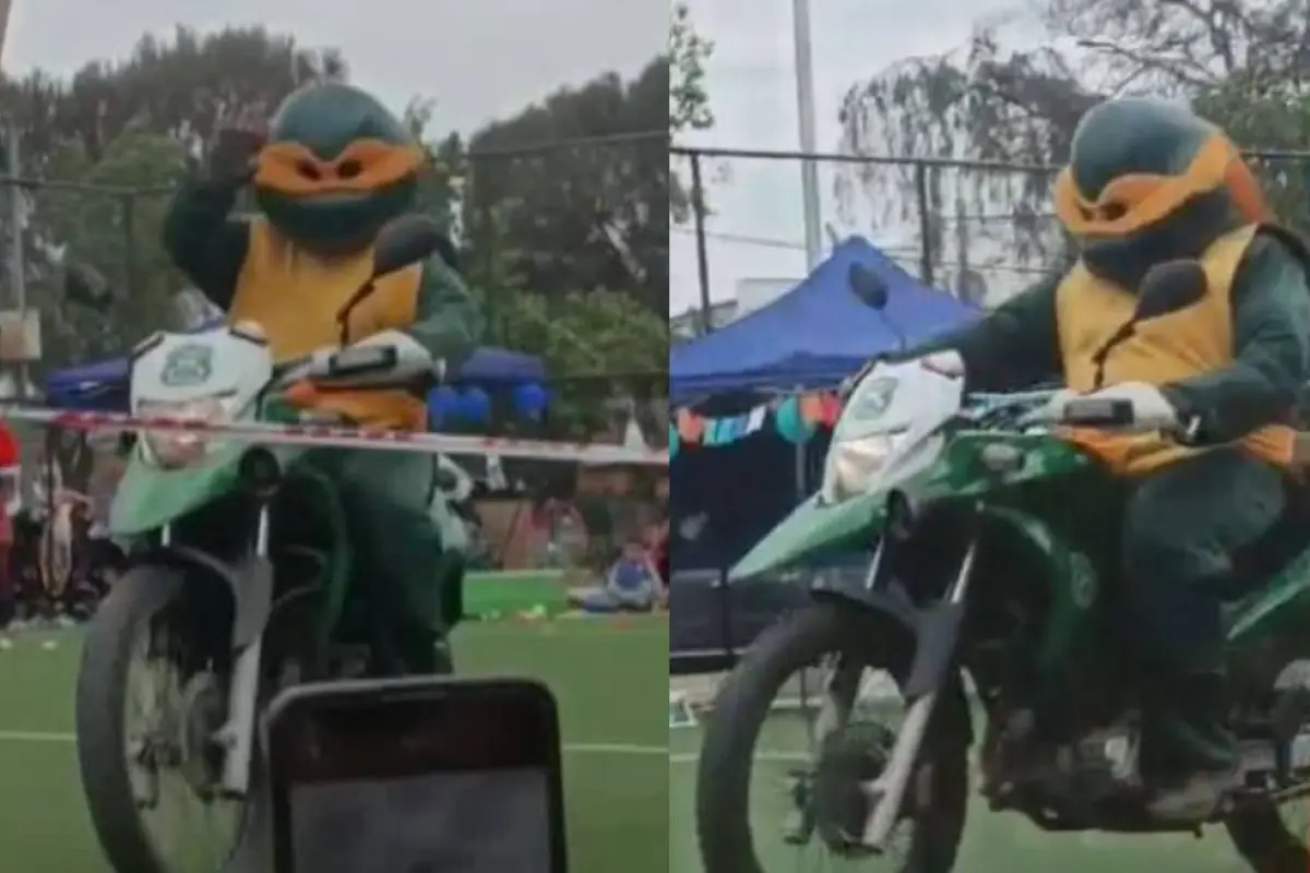 Tortugas Ninja frustraron robo en San Ramón , Redes sociales | X