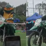 Tortugas Ninja frustraron robo en San Ramón , Redes sociales | X