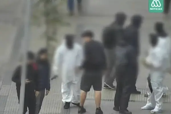 Instituto Nacional ,Captura de Mega