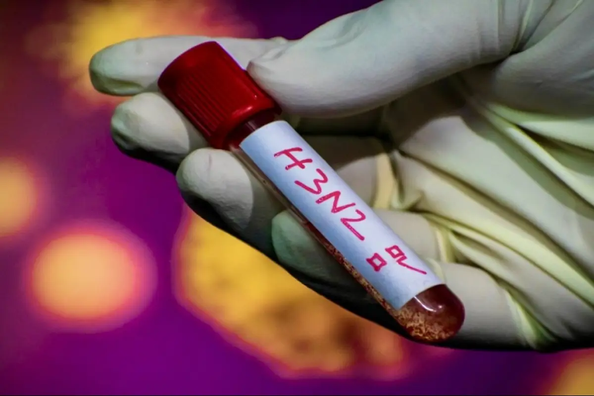 Preocupación por eventual llegada de ''supergripe'' H3N2, Redes sociales | Referencial